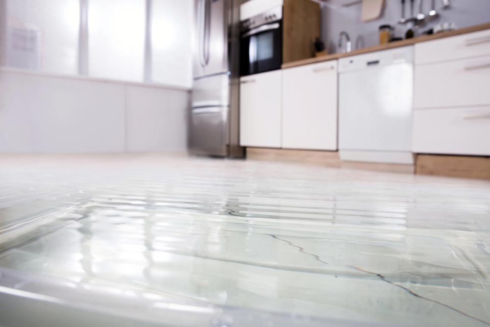 Dégât des eaux, vol, intempéries : Allianz éclaire les sinistres qui pèsent sur un logement loué